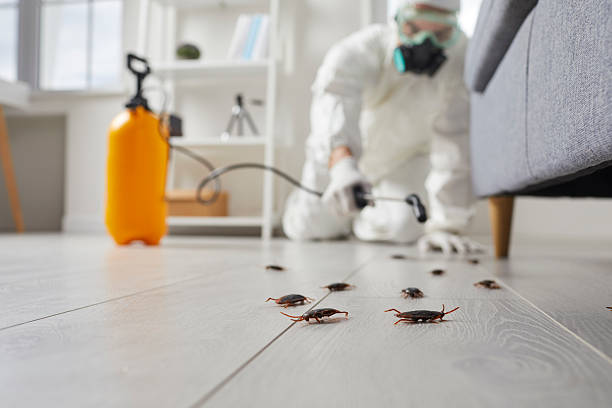 Commercial Kitchen Cockroach Control in Gardendale